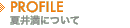 PROFILE �Ĉ䖞�ɂ���